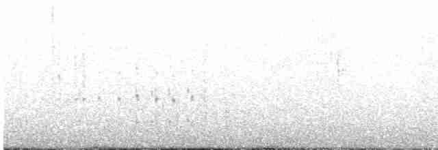 Marsh Wren (griseus) - ML610773105