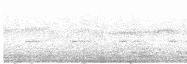 Тиран-плоскодзьоб темнохвостий - ML610773339