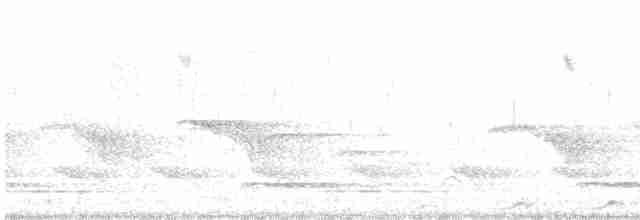 Малайская лесная куропатка - ML610776981