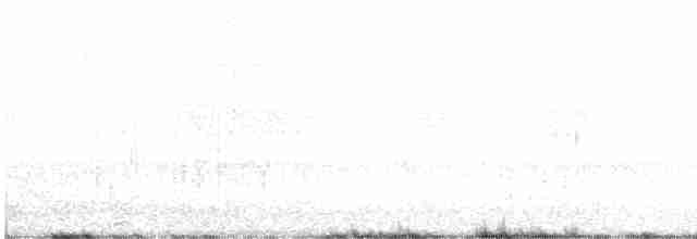 Серебристая поганка (juninensis) - ML610778085