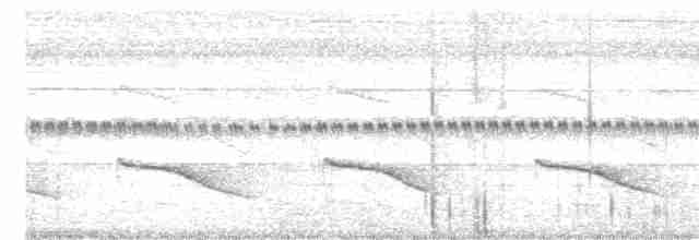Short-tailed Babbler - ML610779541