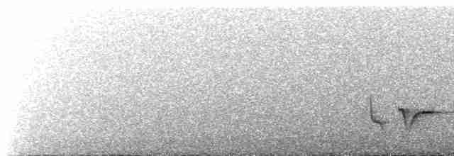 Серогрудый крапивник - ML610781551