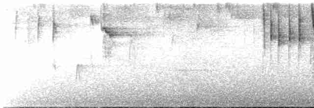 Black-cheeked Warbler - ML610781573