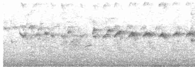 Серпокрилець малий [група affinis] - ML610782038