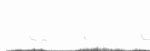 Common Redshank - ML610786741