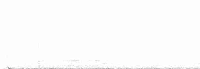 Eastern Screech-Owl (McCall's) - ML610787208