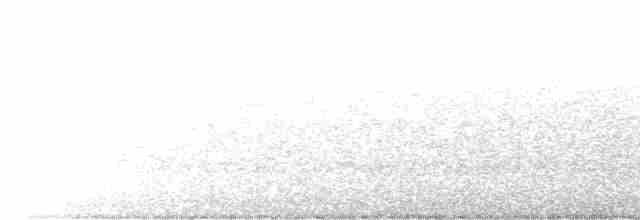 Lyre-tailed Nightjar - ML610787667