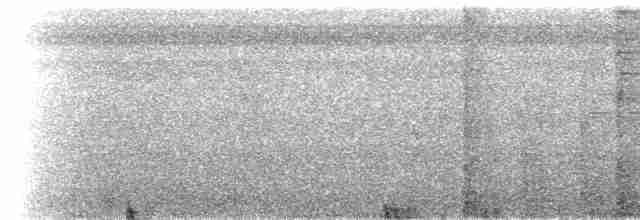 Тонкоклювый колибри-отшельник - ML610797495