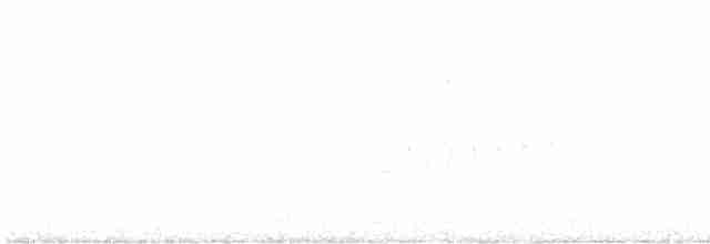 Серпокрилець білочеревий - ML610798198