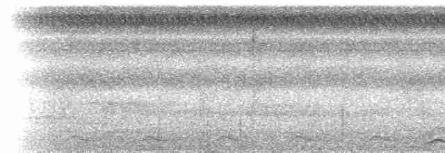 Black-tailed Trogon - ML610799011