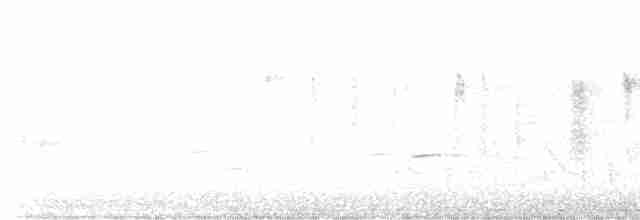 White-browed Scrubwren (White-browed) - ML610808816