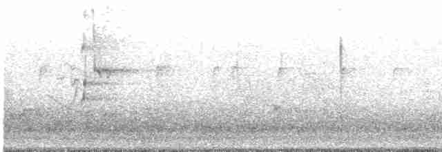 Ошейниковый арасари - ML610811218