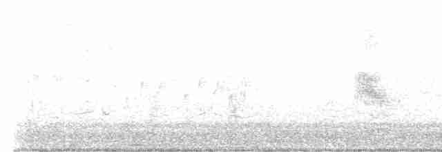 Australian Reed Warbler - ML610814161