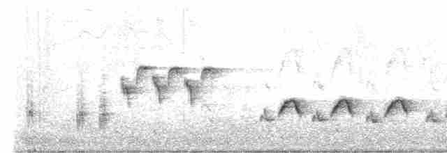 Australian Reed Warbler - ML610814164