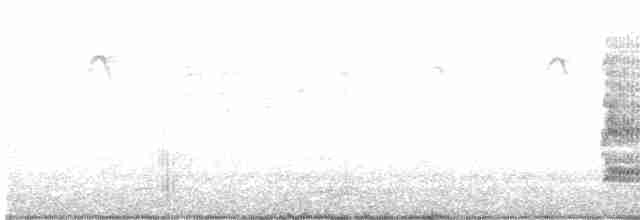 perlička kropenatá - ML610814573