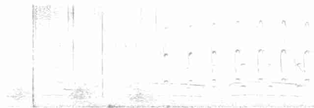 Орел-карлик малий - ML610816957