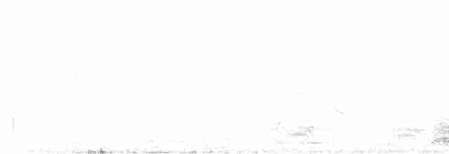 Орел-карлик малий - ML610818393