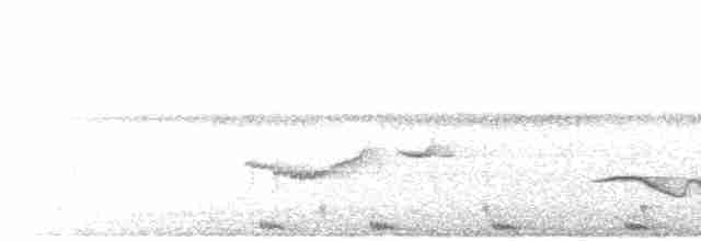 Large-tailed Nightjar - ML610819400
