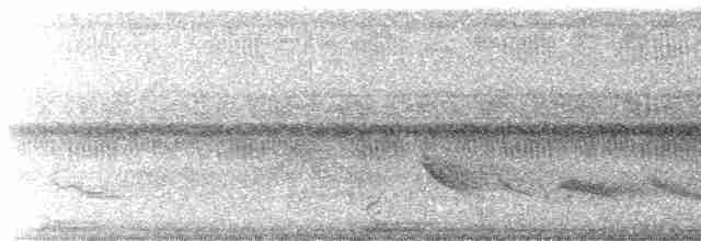 Short-tailed Nighthawk - ML610819505