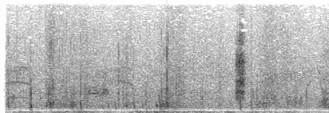 חרטומית סיבירית - ML610821489