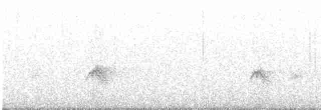 Evening Grosbeak (type 3) - ML610826035