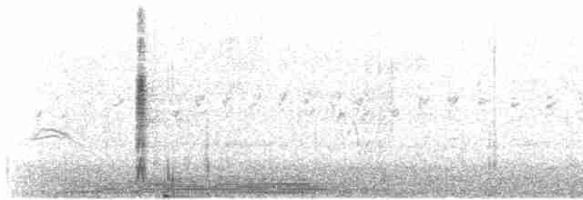 Carouge à épaulettes (californicus/mailliardorum) - ML610827021