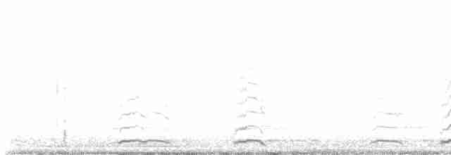 Cygne siffleur - ML610828579