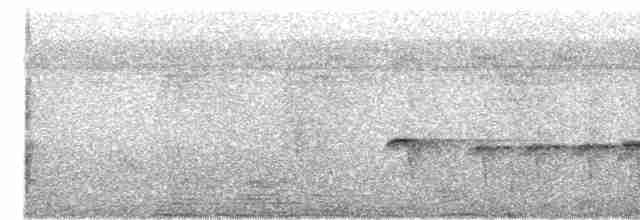 Rostflanken-Ameisenschnäpper - ML610829296