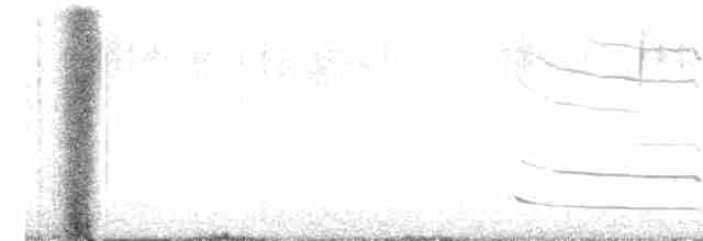 Chalk-browed Mockingbird - ML610836938