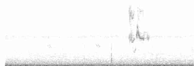 Loggerhead Shrike - ML610840366