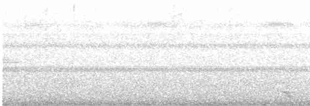 Якамара жовтодзьоба - ML610848330
