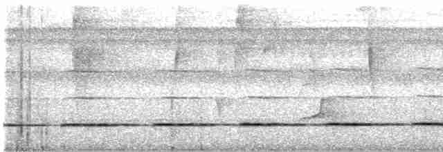 Barred Tinamou - ML610849276
