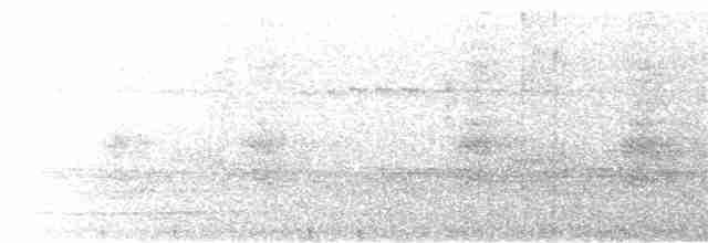 holub neotropický - ML610850556