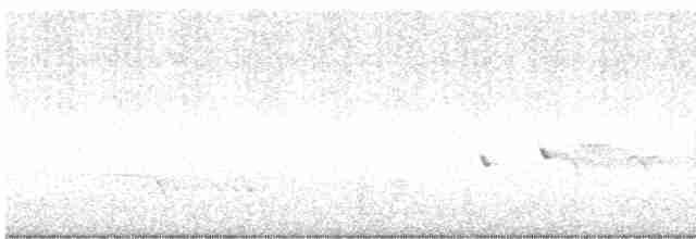 Weißkehlgerygone - ML610855111