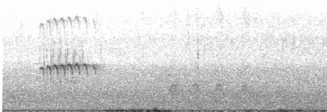 Oriole des vergers - ML610872761