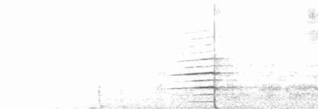 Toucan à bec noir - ML610873438