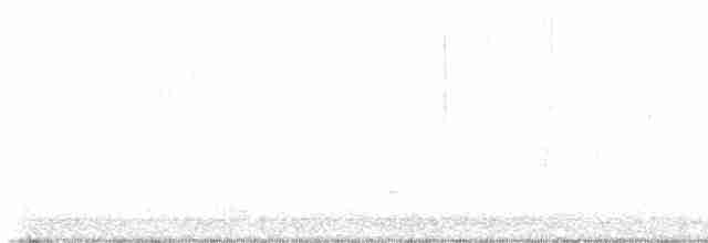 Белобровая овсянка (leucophrys) - ML610879607