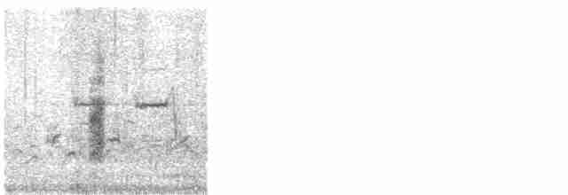 חרטומית סיבירית - ML610883591