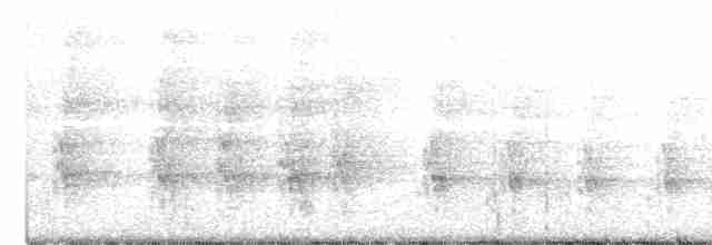 Ошейниковый зимородок - ML610891254