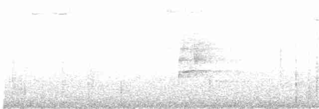 Ошейниковый арасари - ML610892489