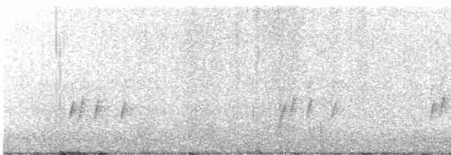 Поплітник каролінський - ML610900056