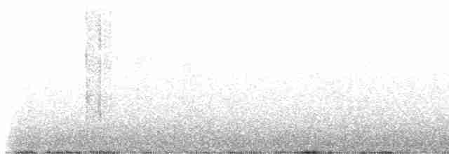 Зяблик гран-канарський - ML610907698