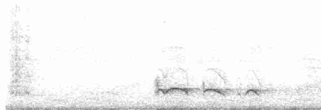 Kaatinga Pufkuşu (striatipectus) - ML610908739