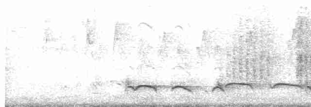 Лінивка-смугохвіст плямистобока (підвид striatipectus) - ML610908856