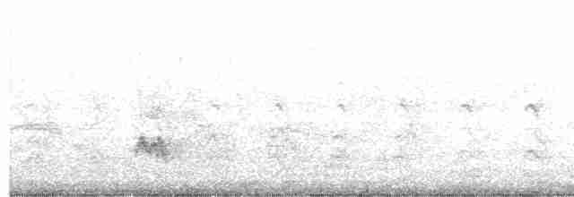 Chalk-browed Mockingbird - ML610910998