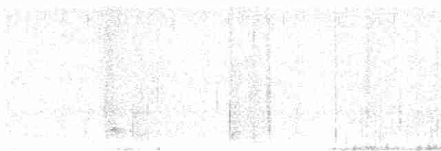 Белохвостая куропатка - ML610917282