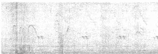 Серпокрилець південноазійський - ML610924521