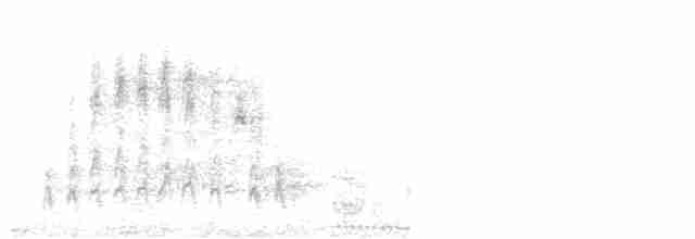 Ada Ardıcı (erythropleurus) - ML610929138
