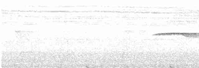 Tinamou de Berlepsch - ML610929448
