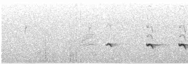 Chaparralgrasmücke - ML610931334